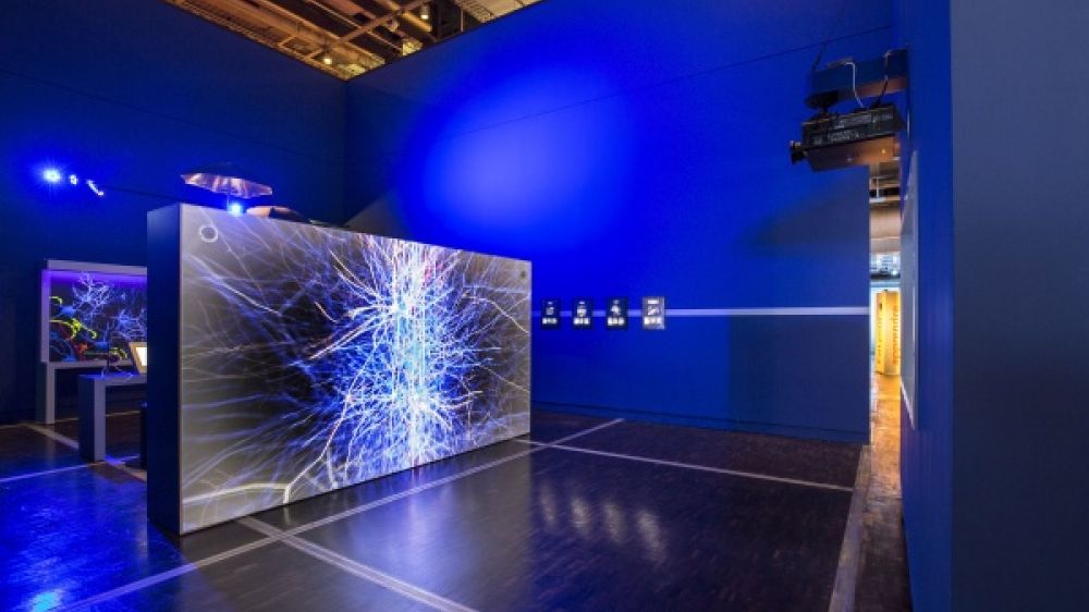 Une exposition qui vous fait remuer vos méninges