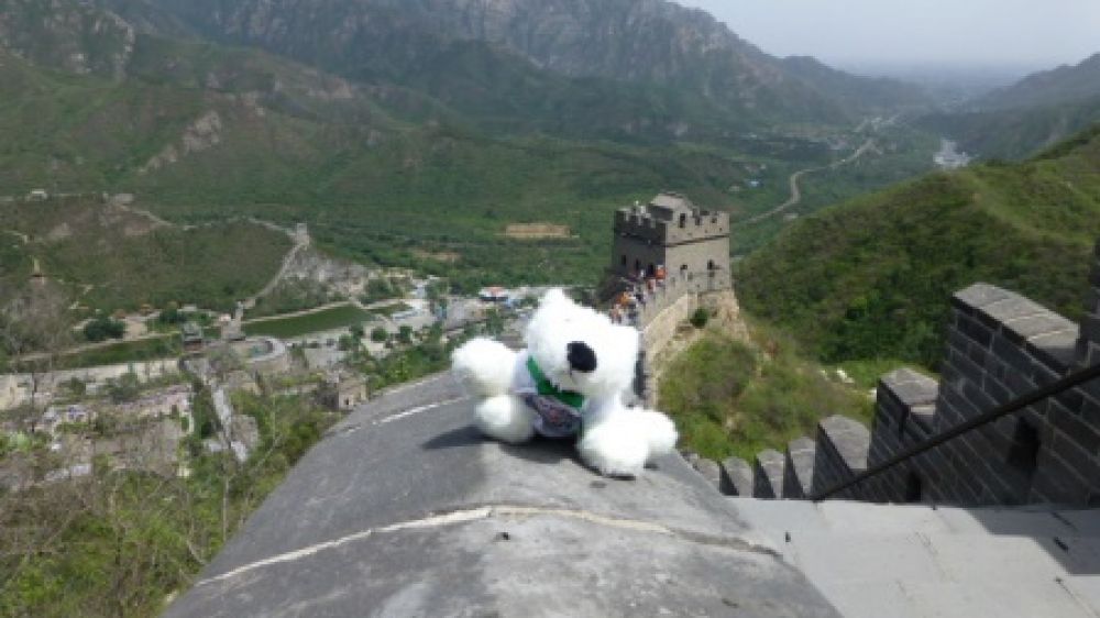 Tikko sur la muraille de Chine