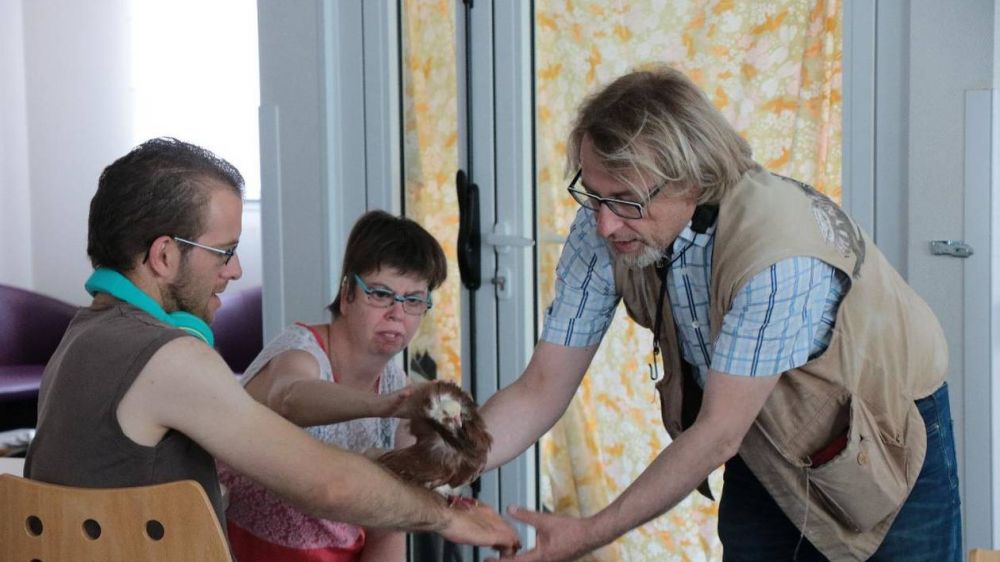 L'oiseleur-fauconnier Yvan Gilbert visite la maison de vie à Crac'h (Finistère) - été 2018