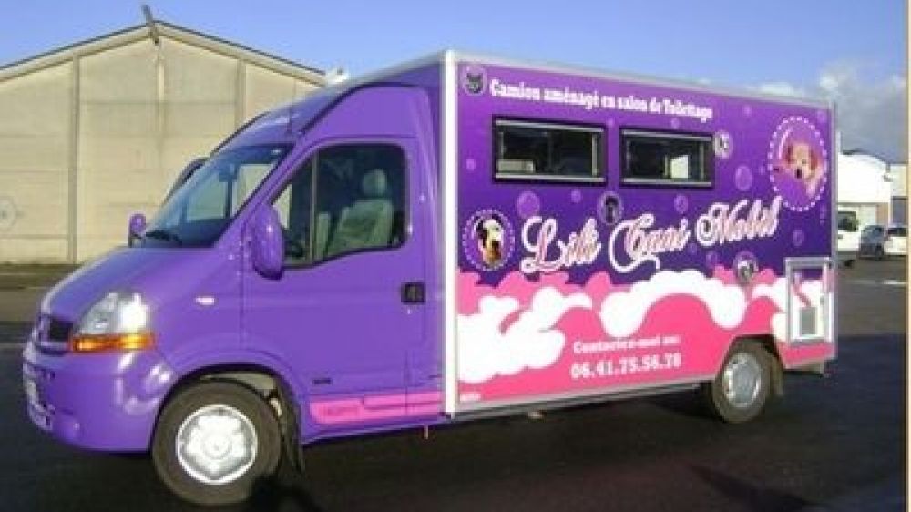 Lidwine Dupont sillonne les routes au volant de sa "Lili Cani Mobil"