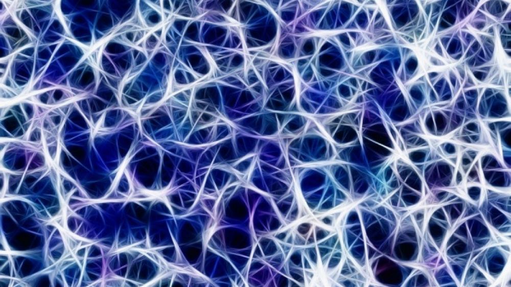 La sclérose en plaques est une maladie qui s'attaque au système nerveux