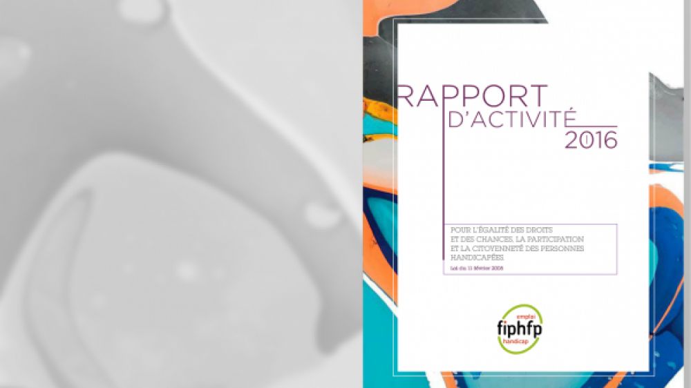 Capture d&#039;&eacute;cran du rapport 2016 du FIPHFP disponible sur http://fiphfp.publispeak.com/rapport-activite-2016/