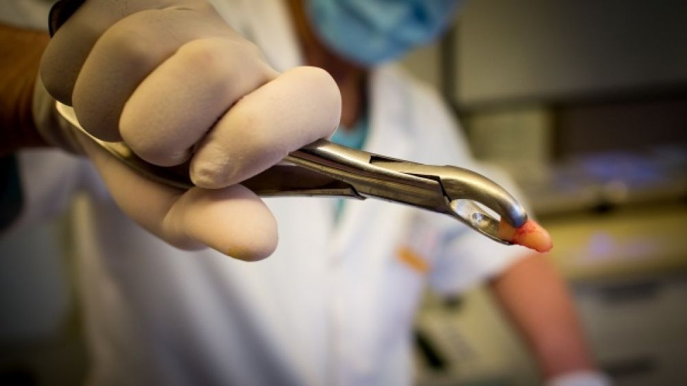 35 à 50% des personnes âgées vivant en établissement ont des problèmes de santé bucco-dentaire.