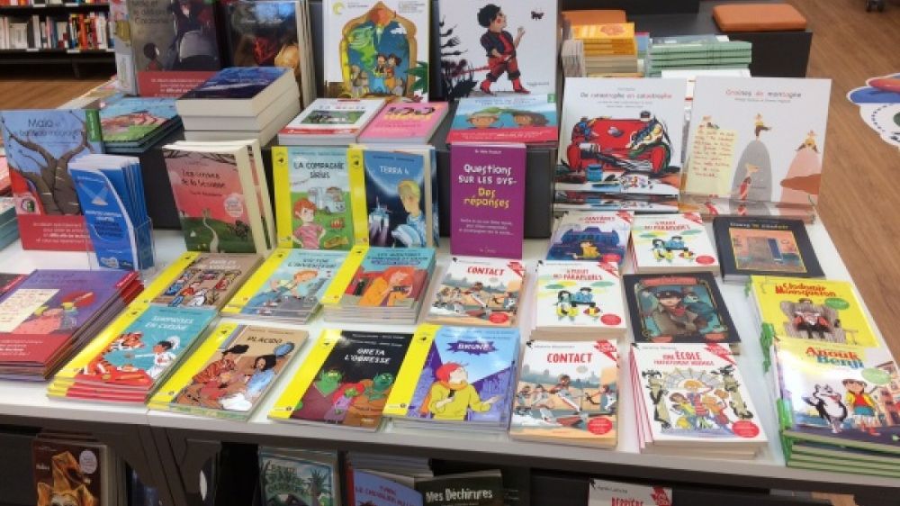 Des livres adaptés pour les enfants en situation de handicap et en difficulté d'apprentissage - Photo : Association Signes de sens