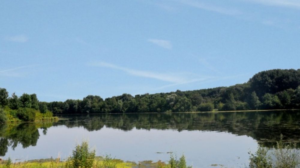 Lac du Héron, cadre de rêve pour venir découvrir le festival "En mai... fais ce qu'il te plaît", à Villeneuve-d'Ascq