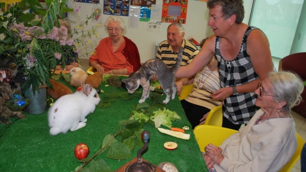 La zooth&eacute;rapie est un r&eacute;el b&eacute;n&eacute;fice pour les personnes &acirc;g&eacute;es.